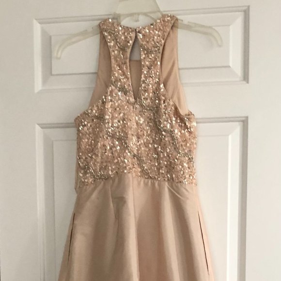 Adrianna Papell Wedding or Prom Dress - Picture 8 of 9